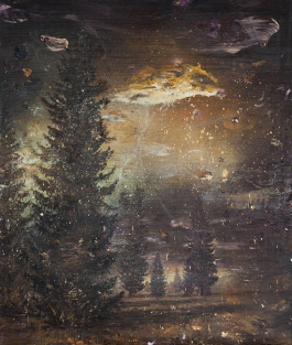 HARALD HERMANN